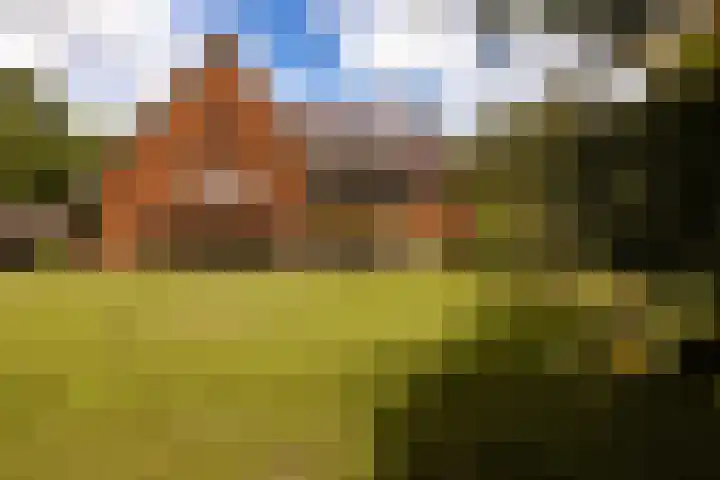 Herenlaan 2 IJmuiden thumbnail 69