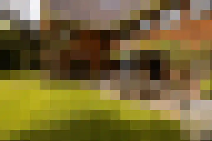 Herenlaan 2 IJmuiden thumbnail 71