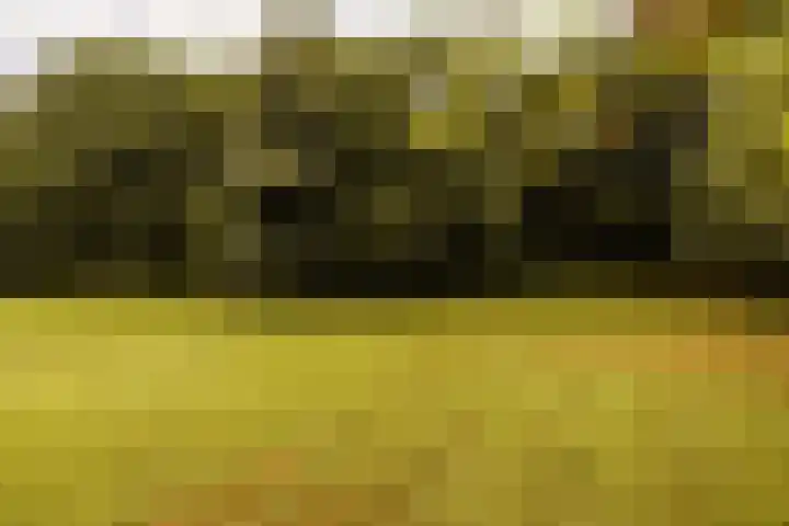 Herenlaan 2 IJmuiden thumbnail 74