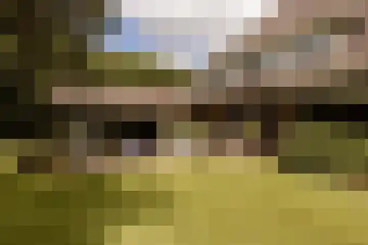 Herenlaan 2 IJmuiden thumbnail 77
