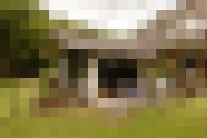 Herenlaan 2 IJmuiden thumbnail 78