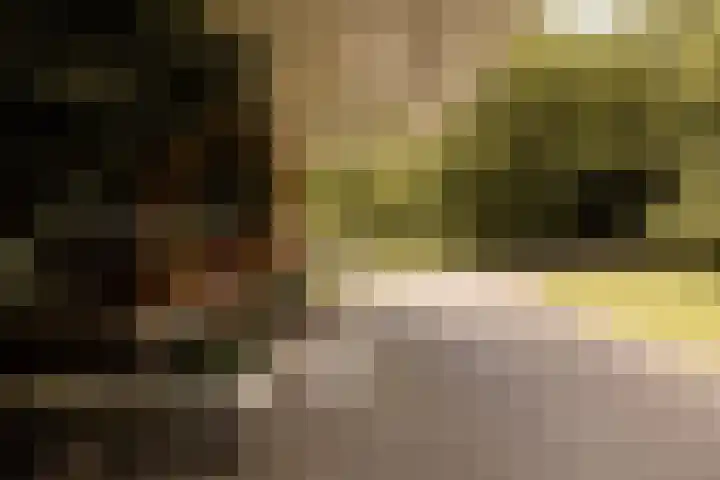 Herenlaan 2 IJmuiden thumbnail 8