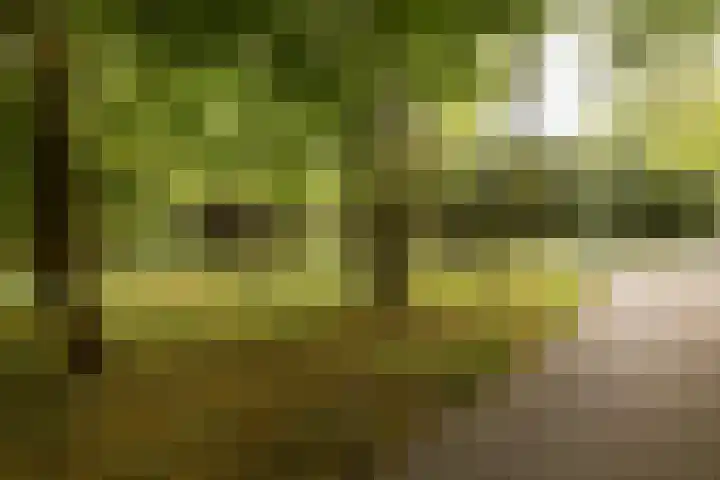 Herenlaan 2 IJmuiden thumbnail 83