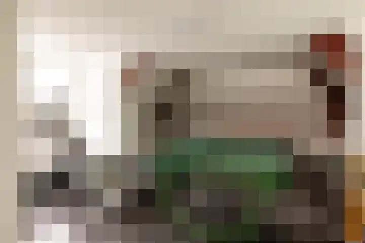 Herenlaan 2 IJmuiden thumbnail 88