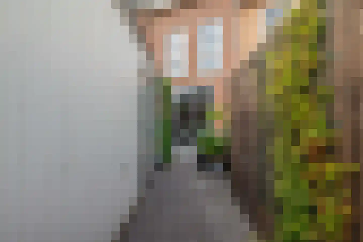 Herenlaan 5 Helmond thumbnail 46