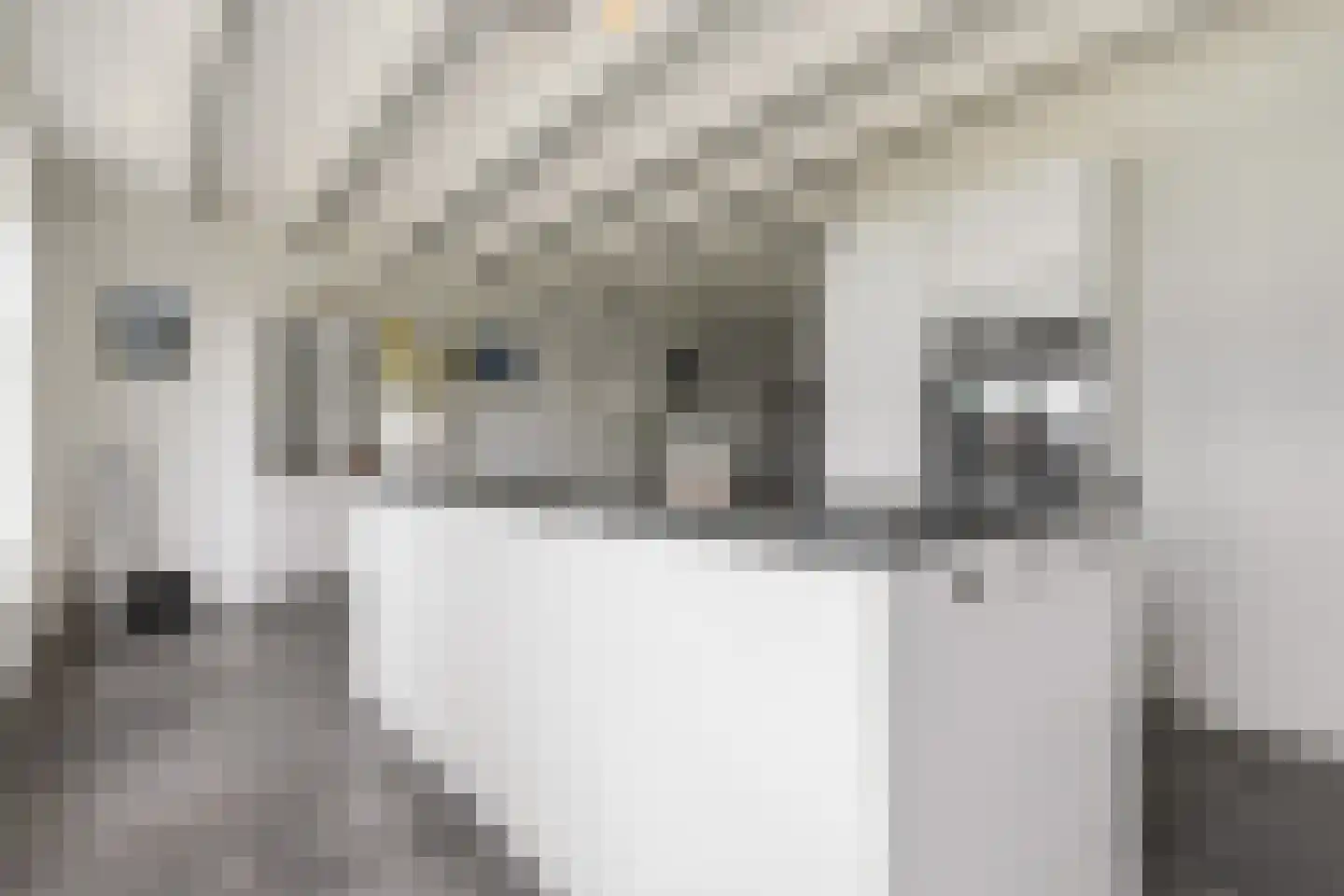 Herenlaan 6 Wormer thumbnail 12