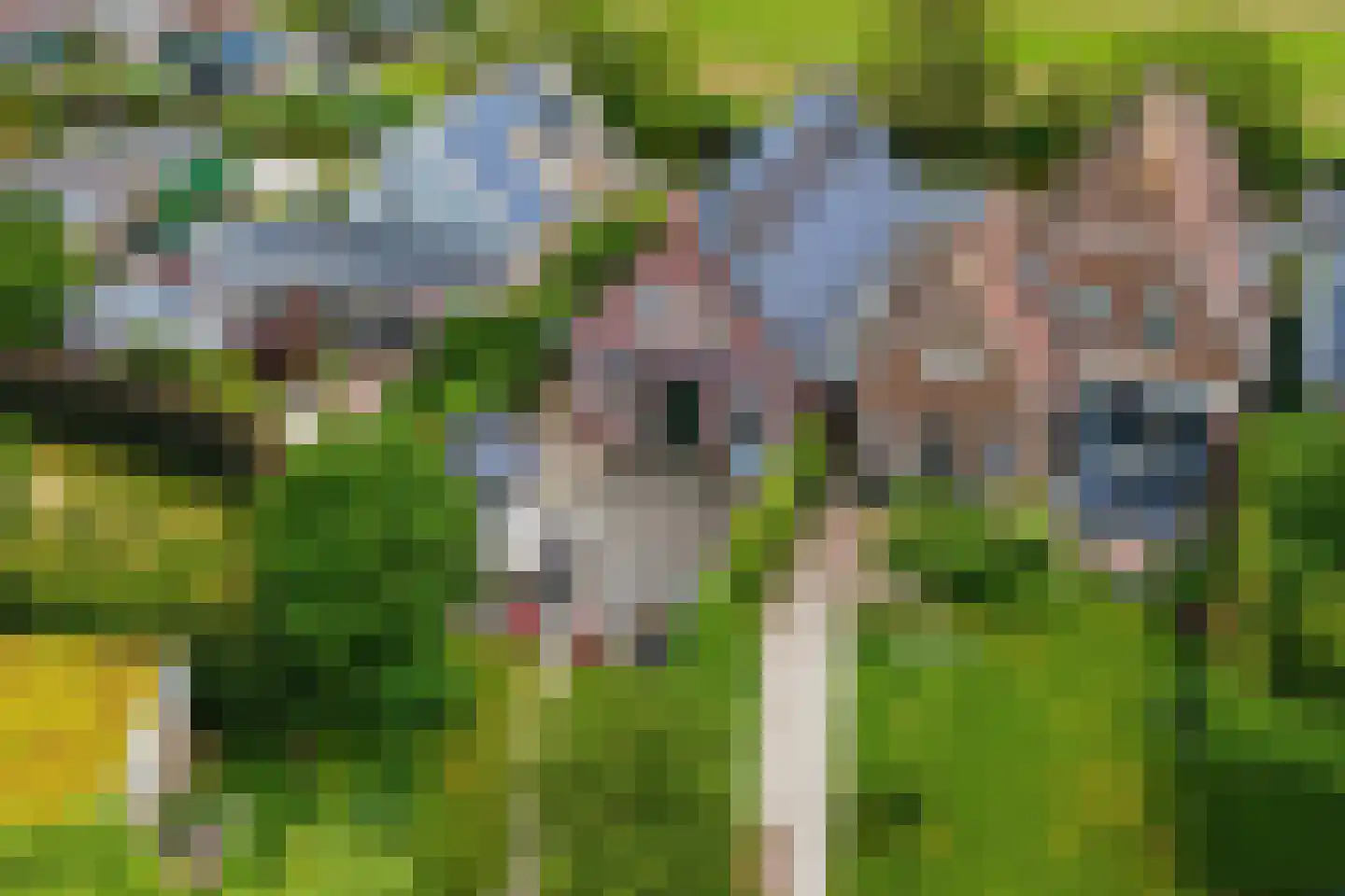 Herenlaan 6 Wormer thumbnail 38