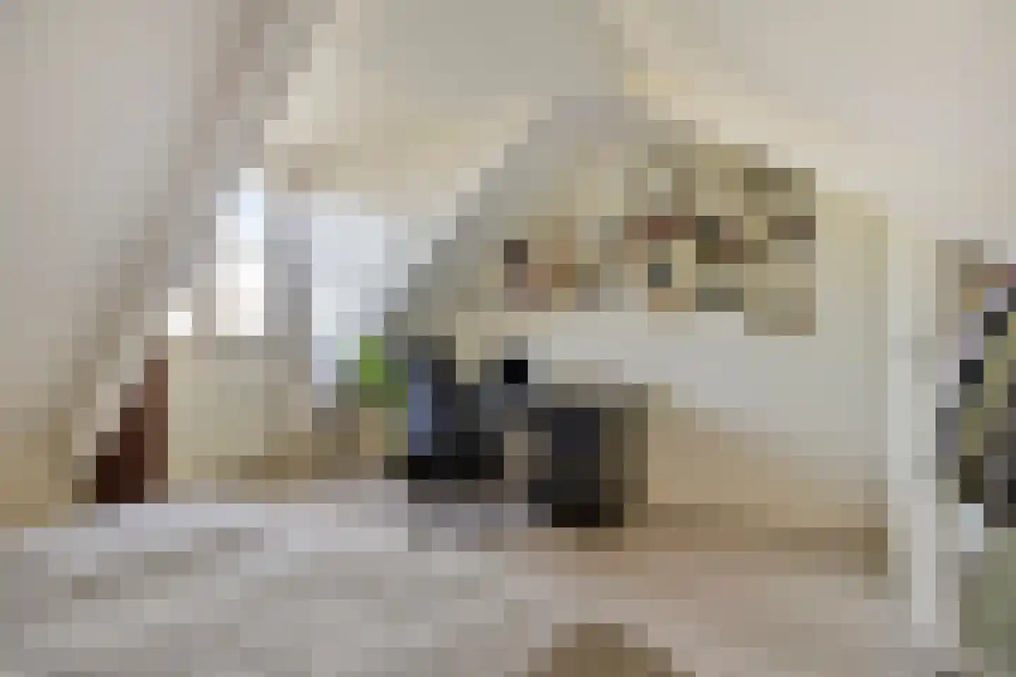 Herenlaan 94 Helmond thumbnail 36