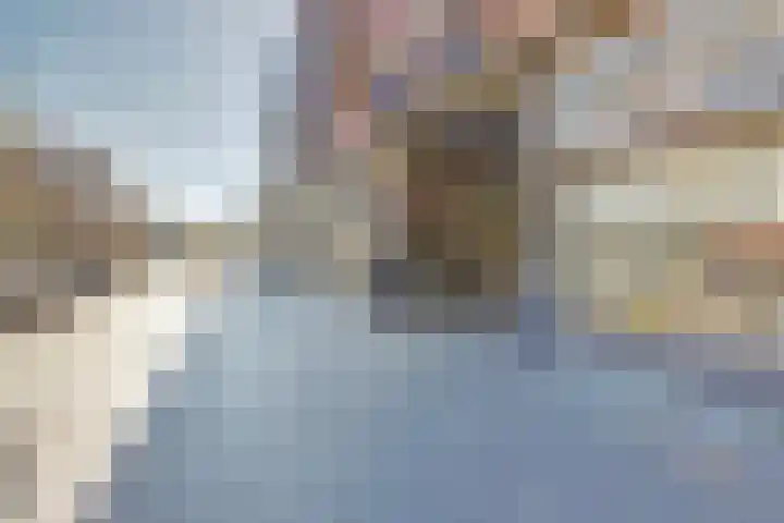 Herenpad 12 B Schiedam thumbnail 18
