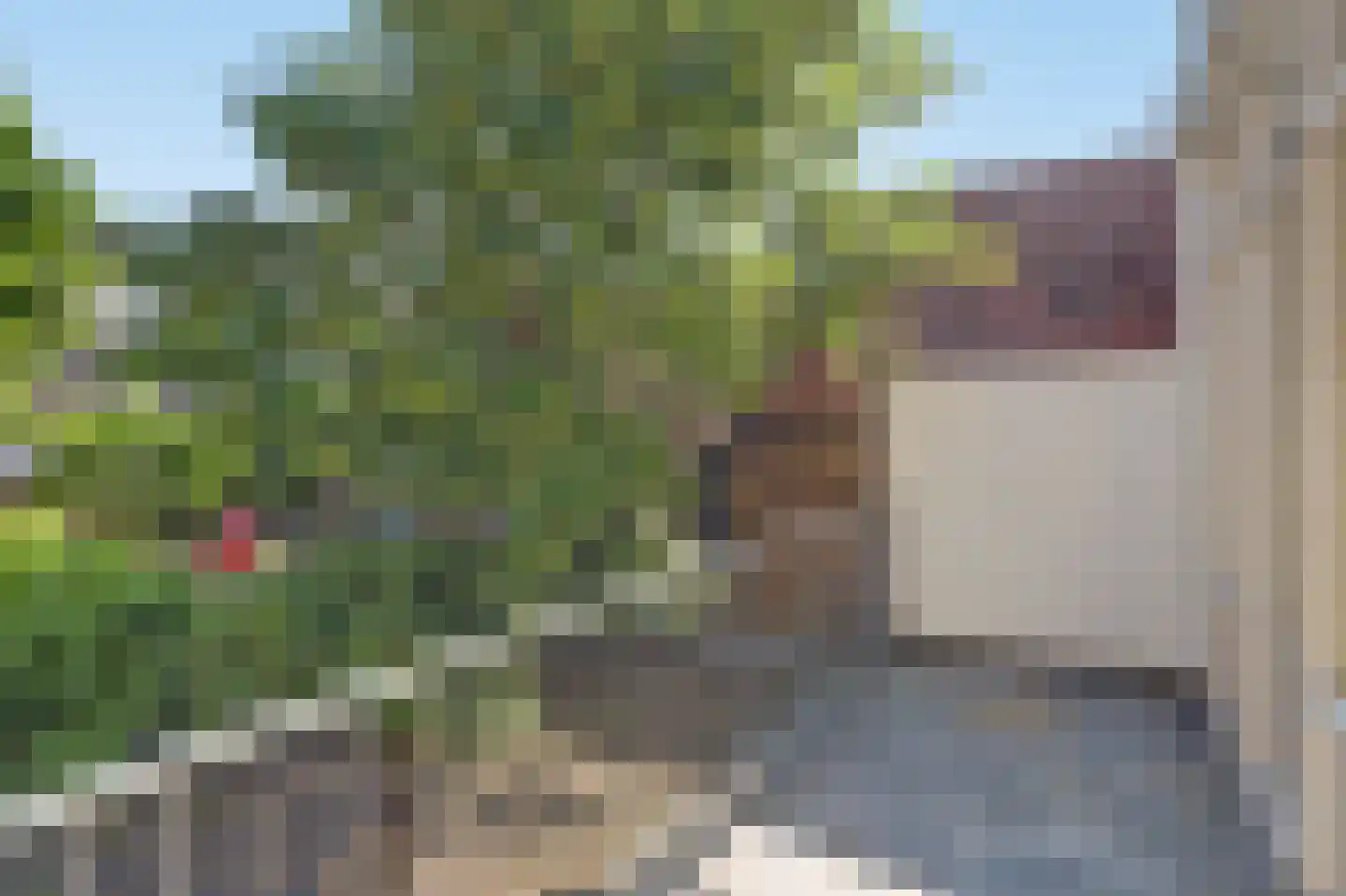 Herenpad 6 A Schiedam thumbnail 13