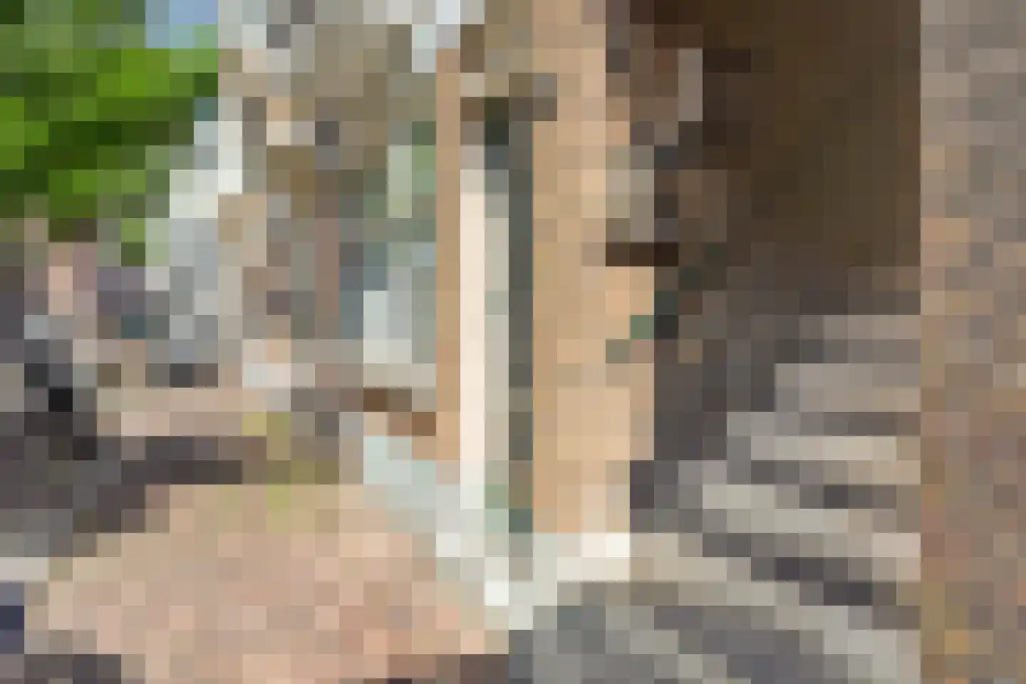 Herenpad 6 A Schiedam thumbnail 21