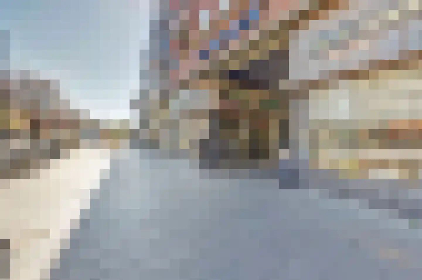 Herenpad 6 C Schiedam thumbnail 27