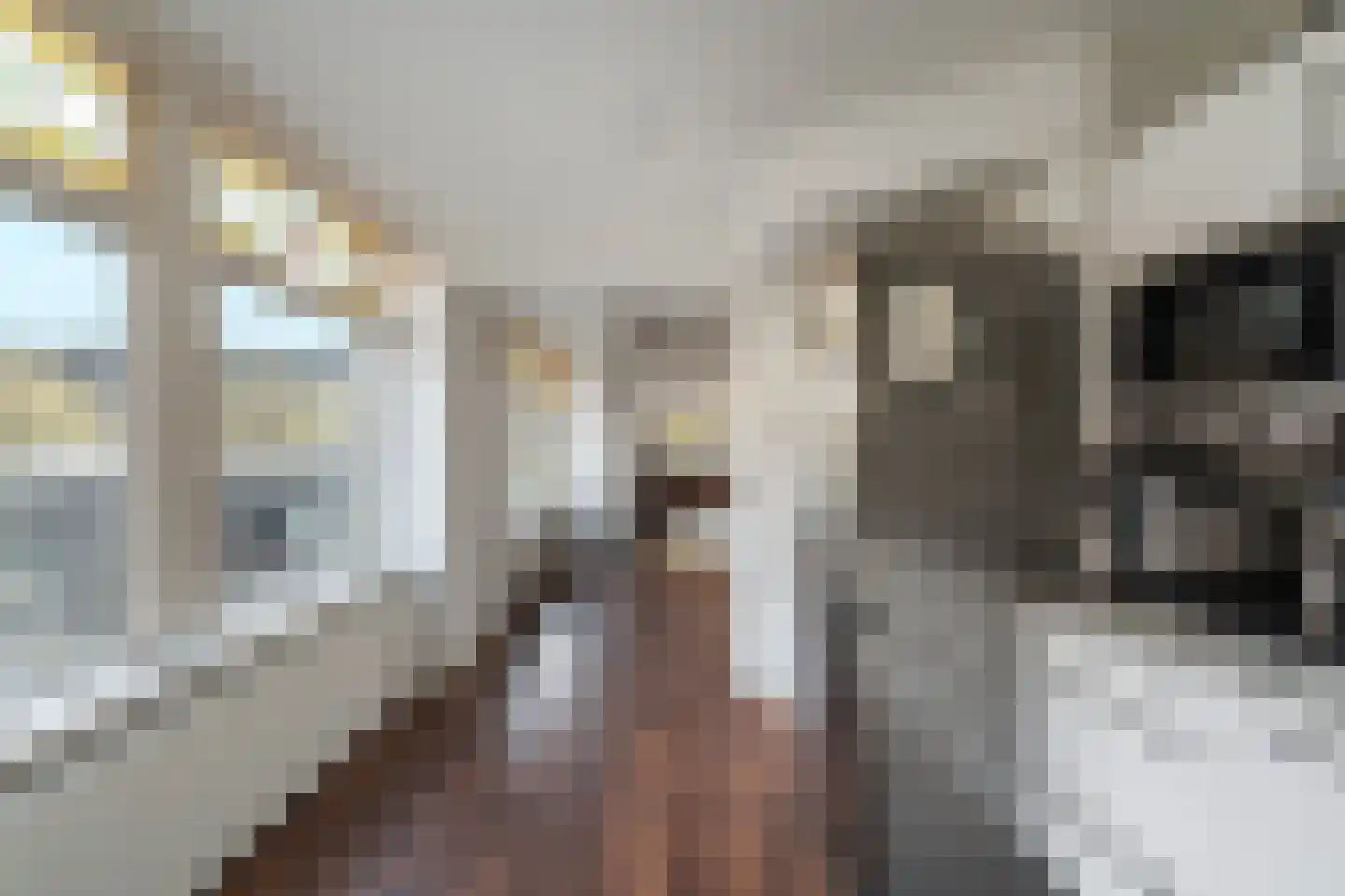 Herenpad 7 2 Schiedam thumbnail 13