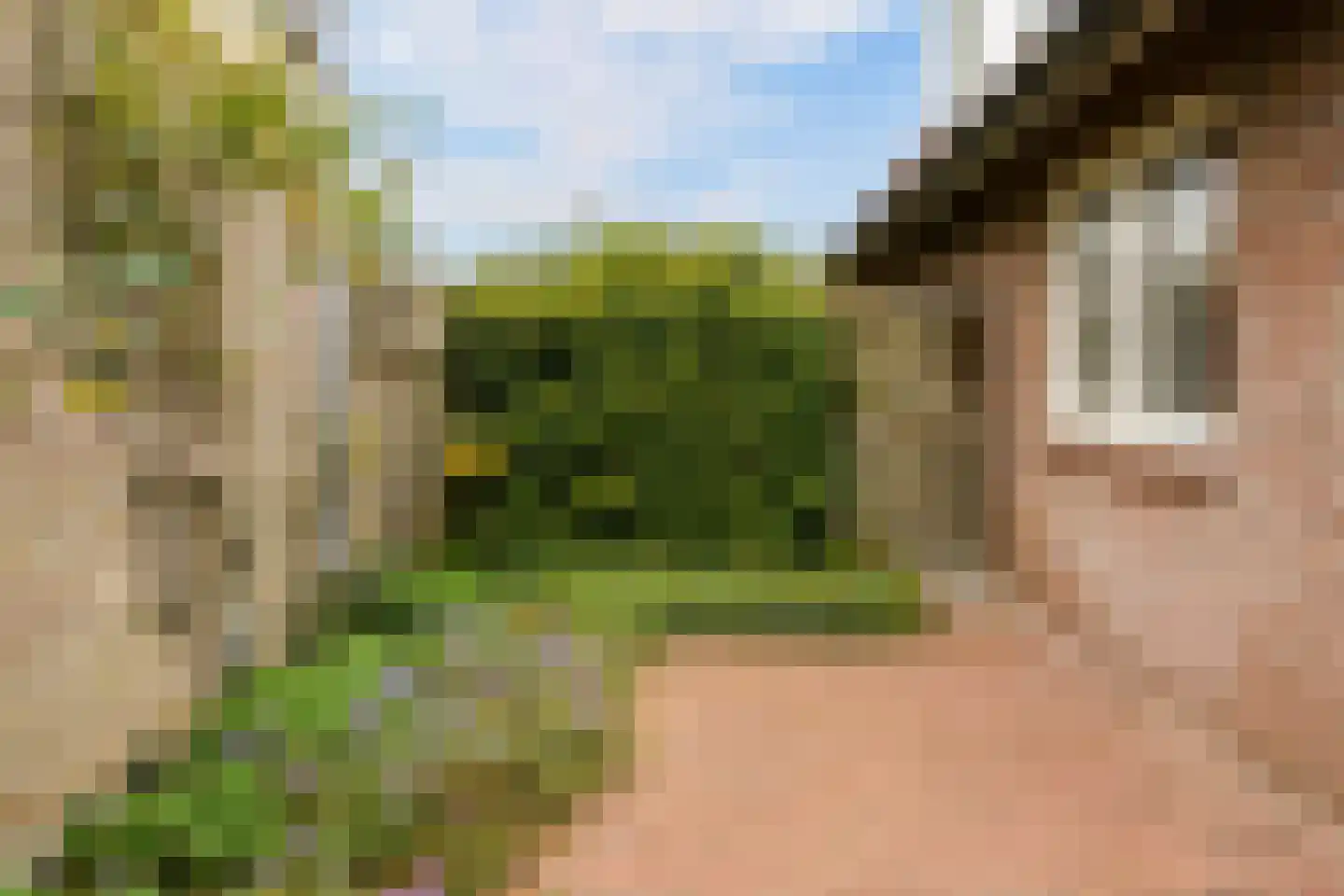 Herenpark 37 Zwolle thumbnail 55