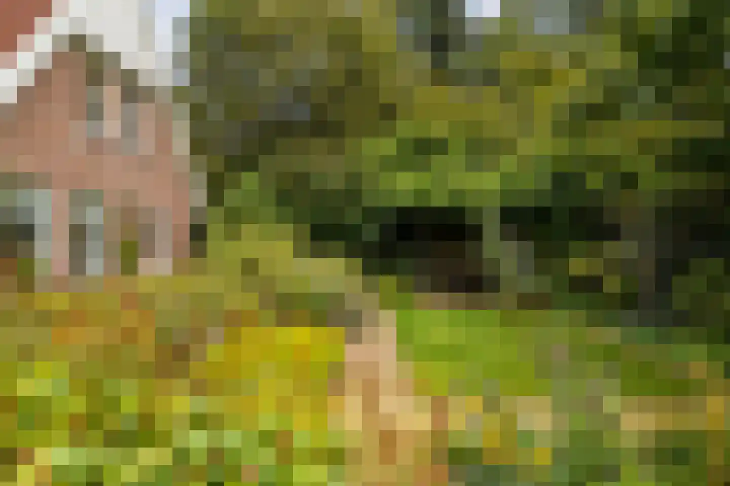 Herenpark 37 Zwolle thumbnail 56