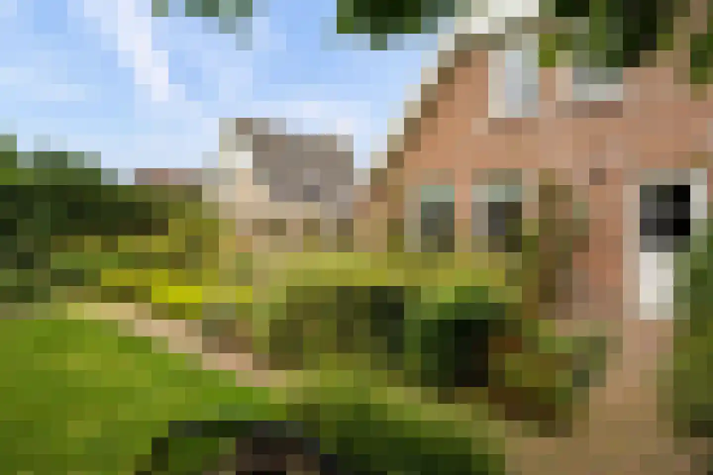 Herenpark 37 Zwolle thumbnail 57