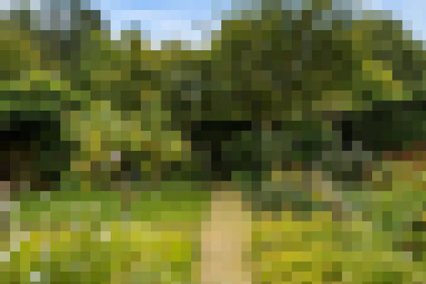 Herenpark 37 Zwolle thumbnail 58