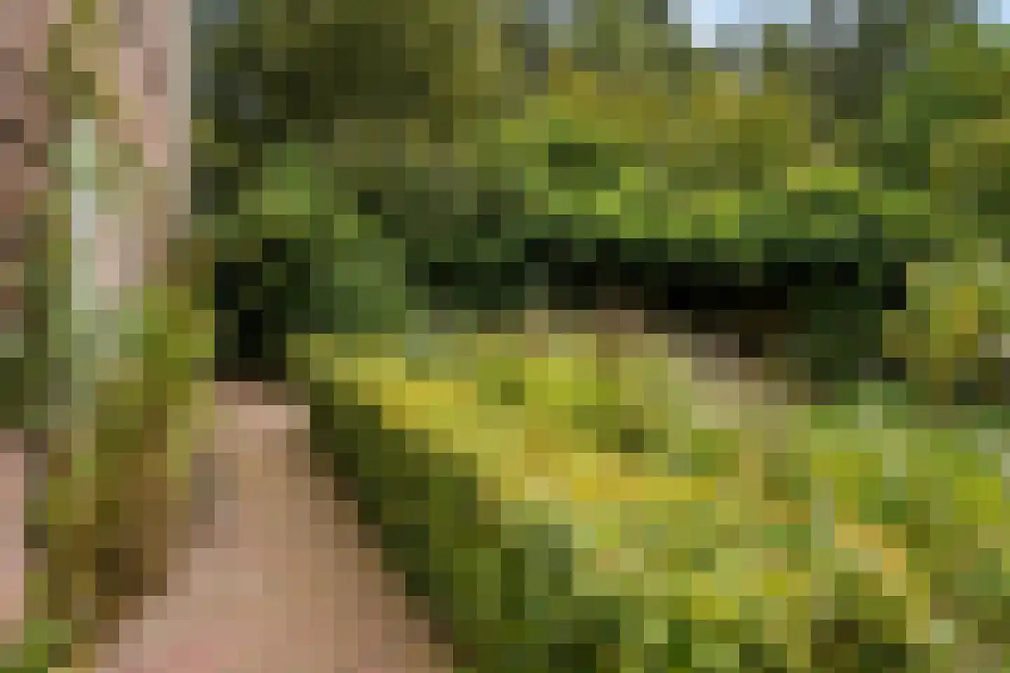 Herenpark 37 Zwolle thumbnail 60
