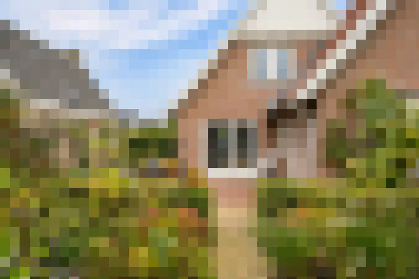 Herenpark 37 Zwolle thumbnail 61