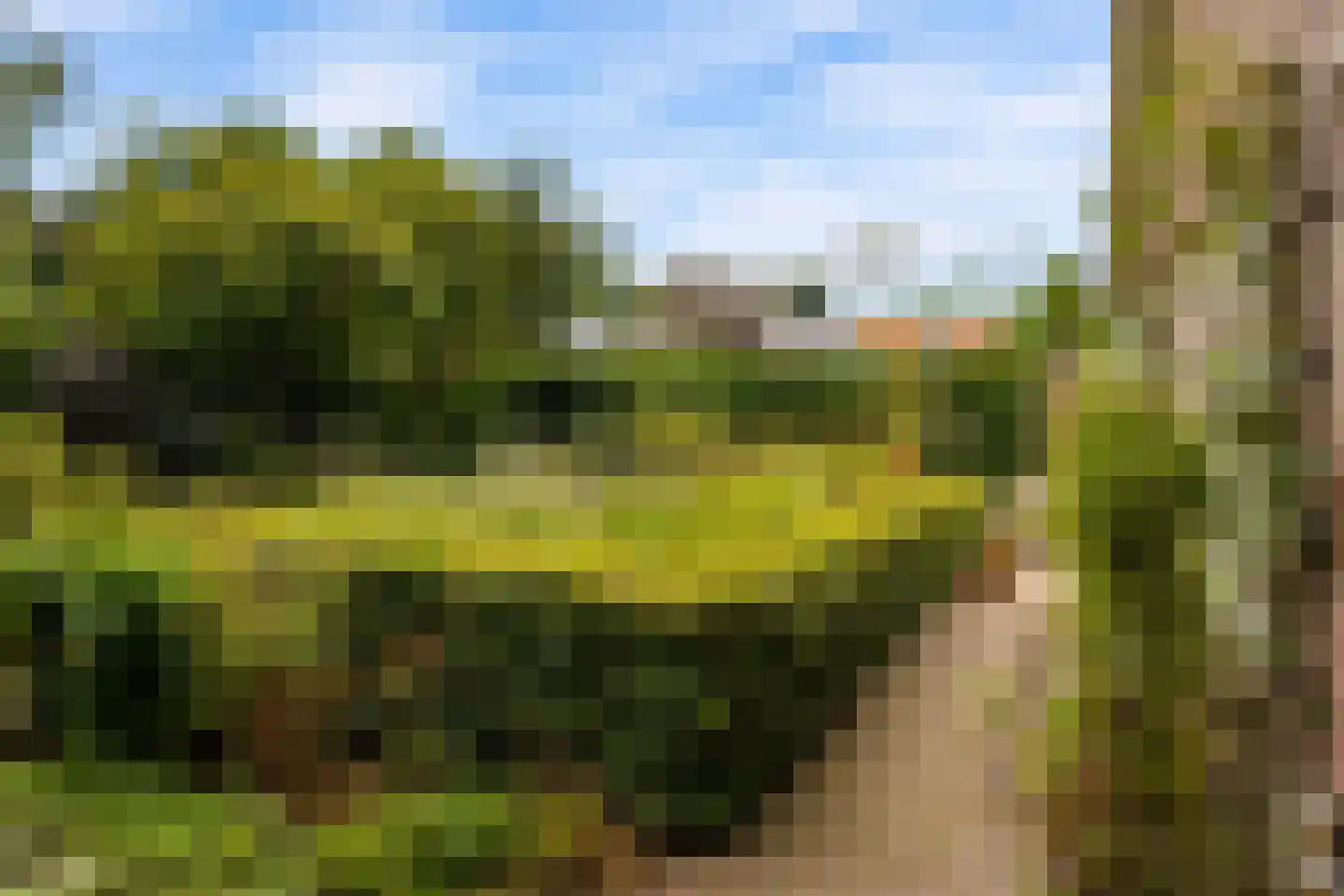 Herenpark 37 Zwolle thumbnail 62