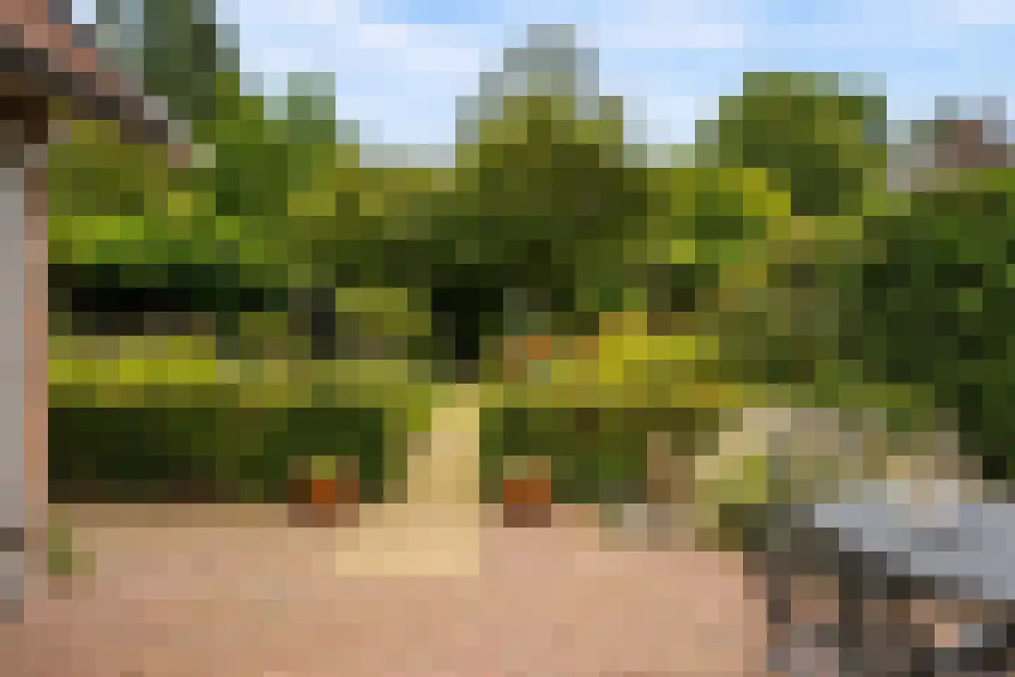 Herenpark 37 Zwolle thumbnail 64