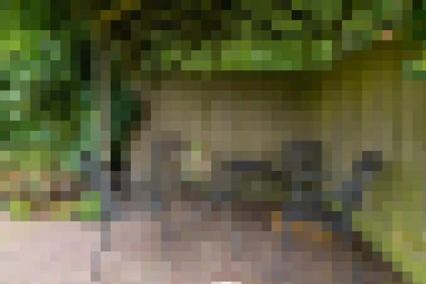 Herenpark 37 Zwolle thumbnail 65