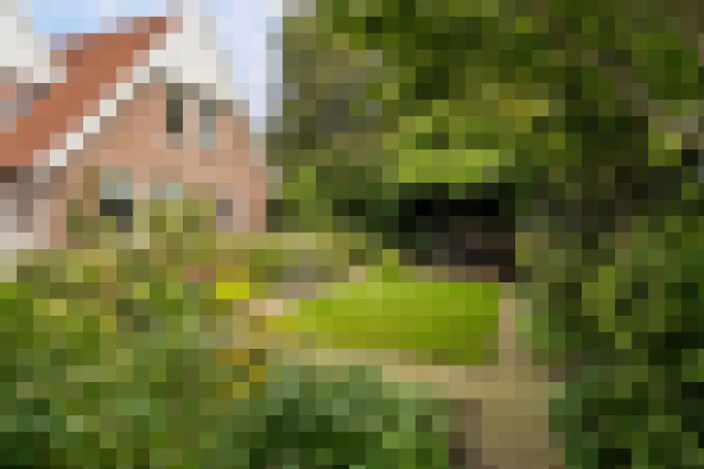 Herenpark 37 Zwolle thumbnail 66
