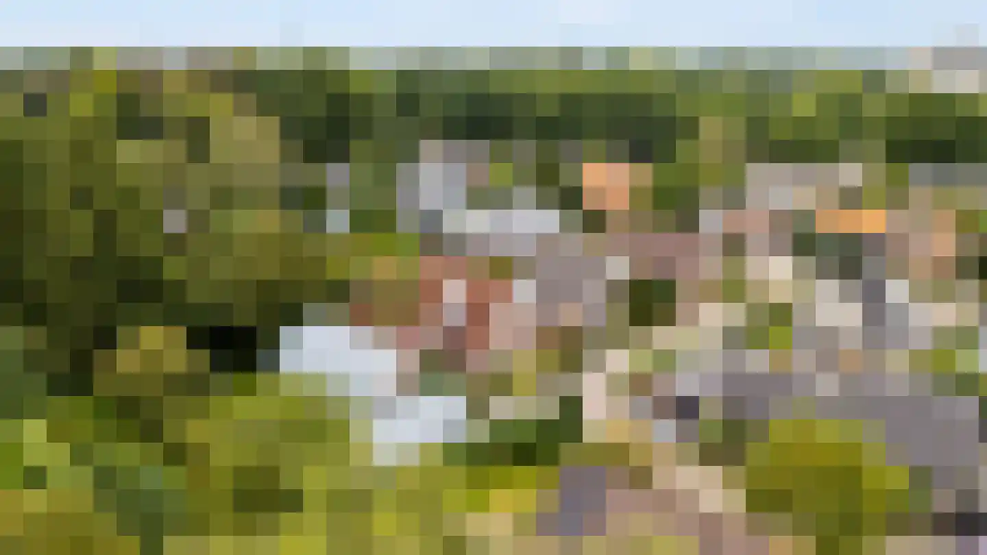 Herenpark 37 Zwolle thumbnail 82