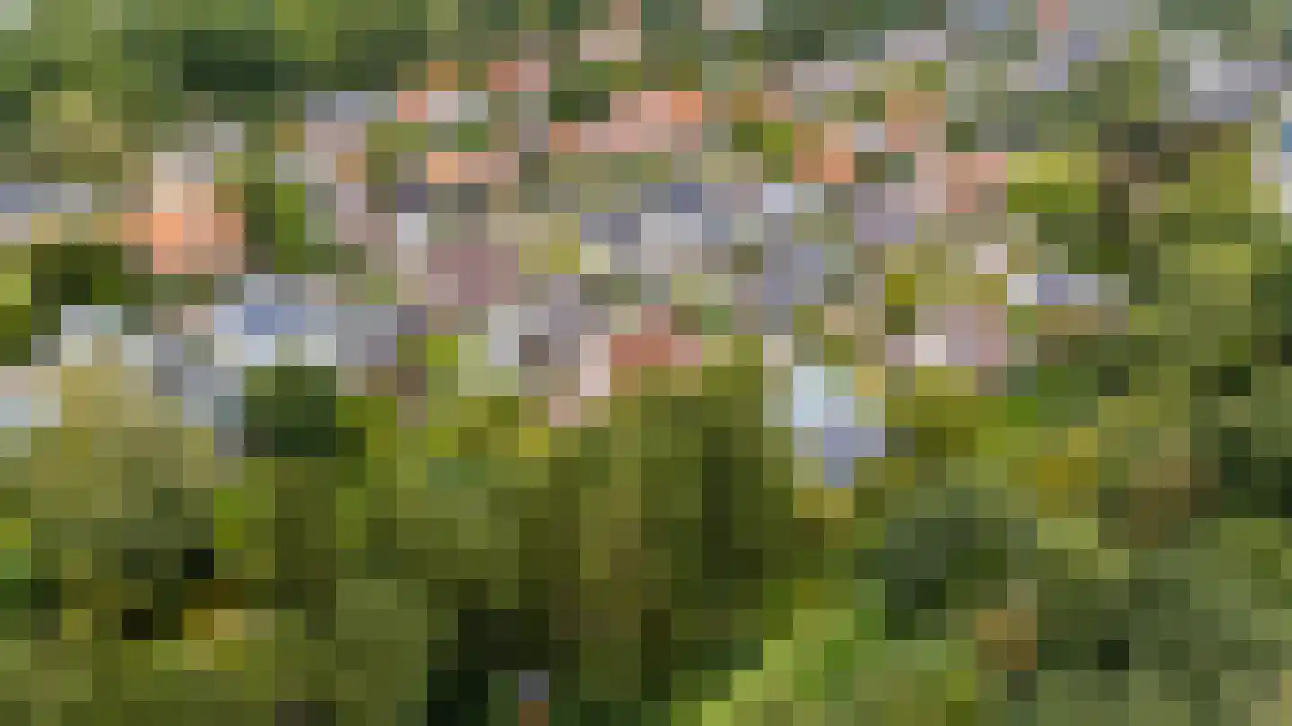 Herenpark 37 Zwolle thumbnail 85