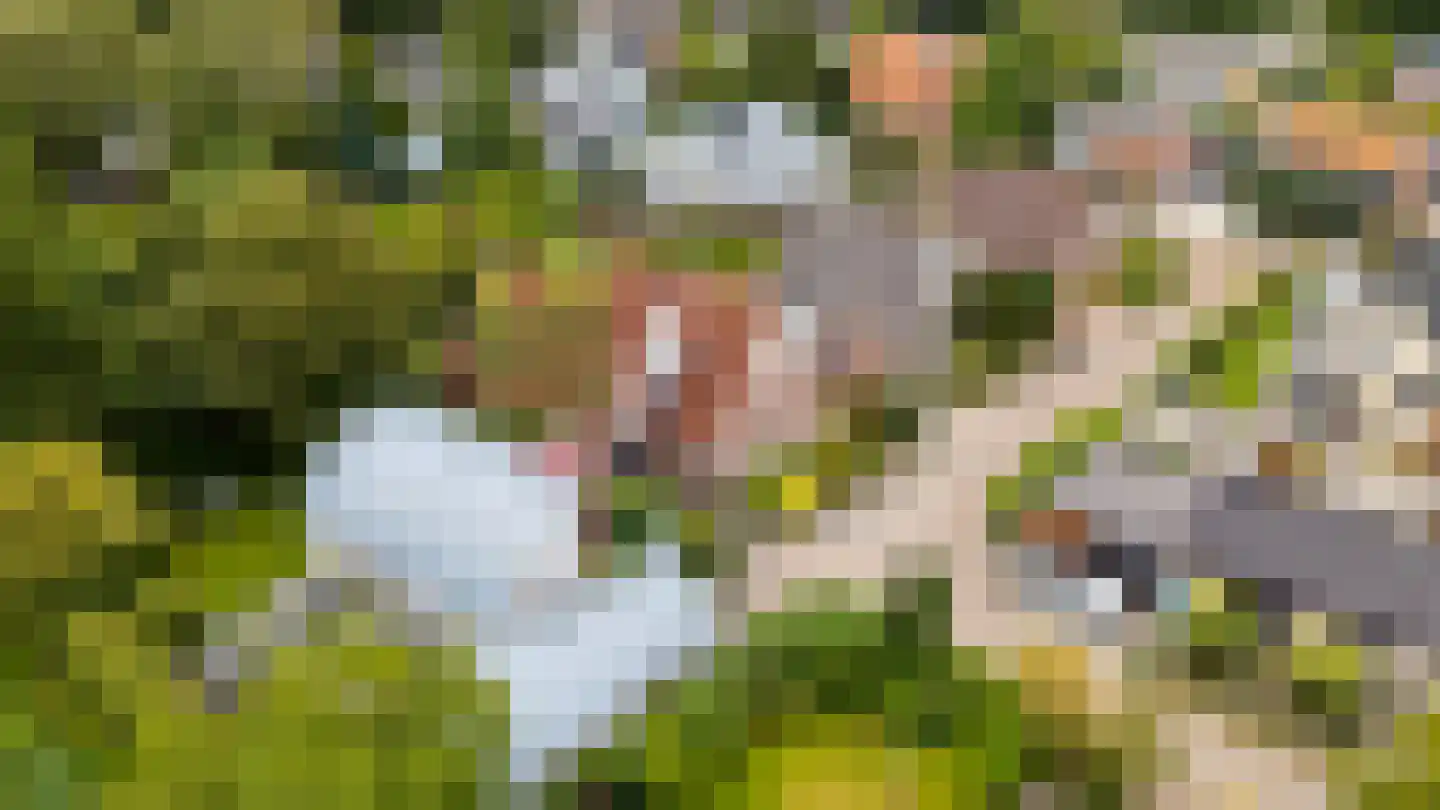 Herenpark 37 Zwolle thumbnail 88