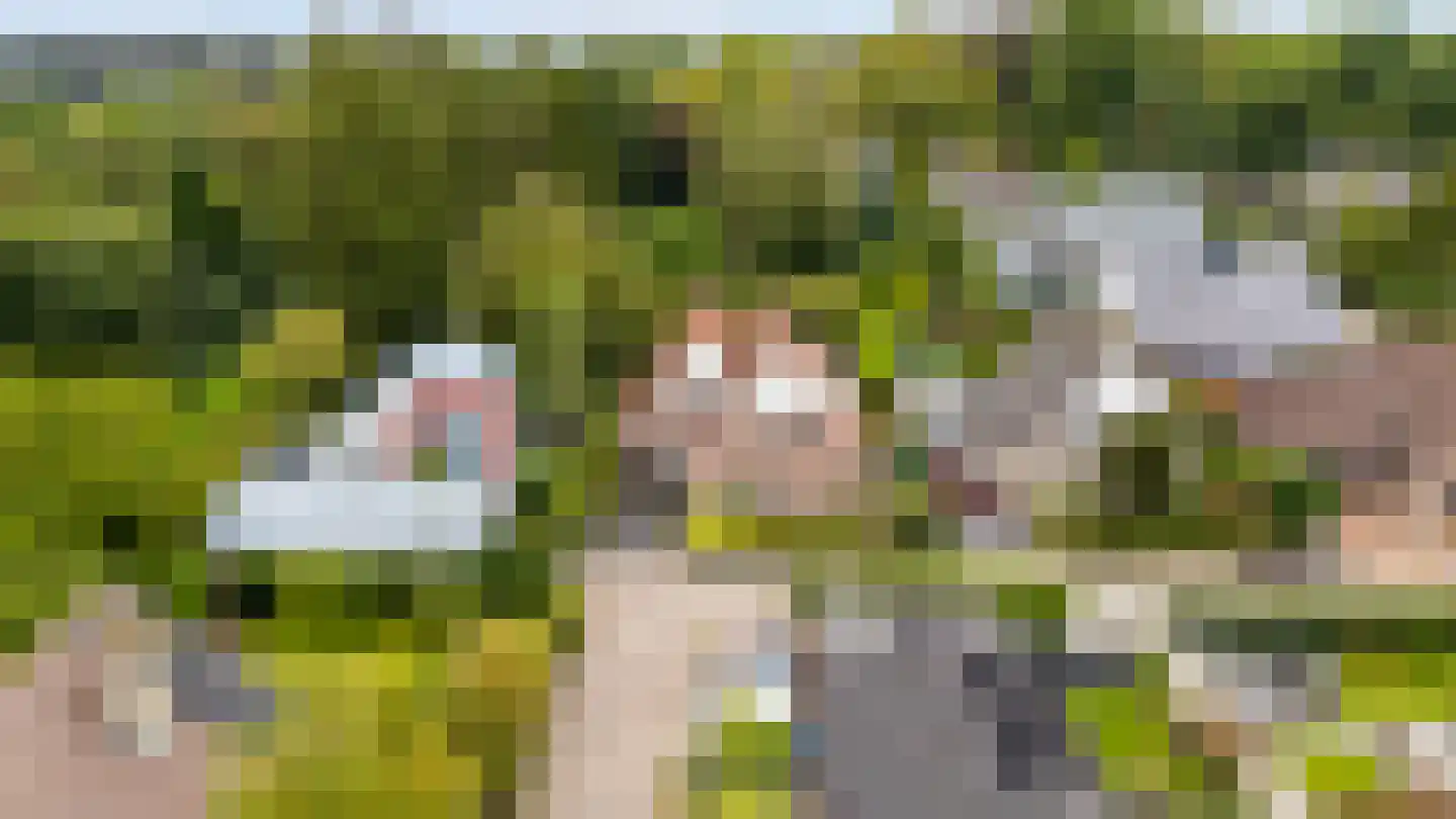 Herenpark 37 Zwolle thumbnail 89