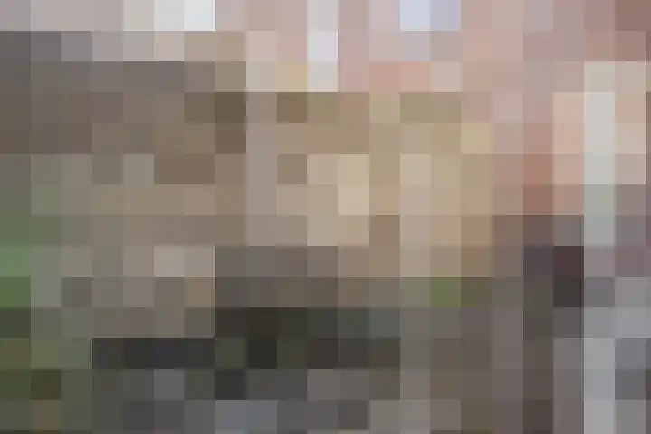 Herensingel 103 Haarlem thumbnail 21