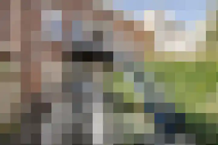 Herensingel 103 Haarlem thumbnail 22
