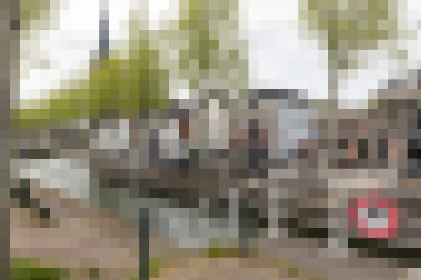 Herensingel 119 Weesp thumbnail 34