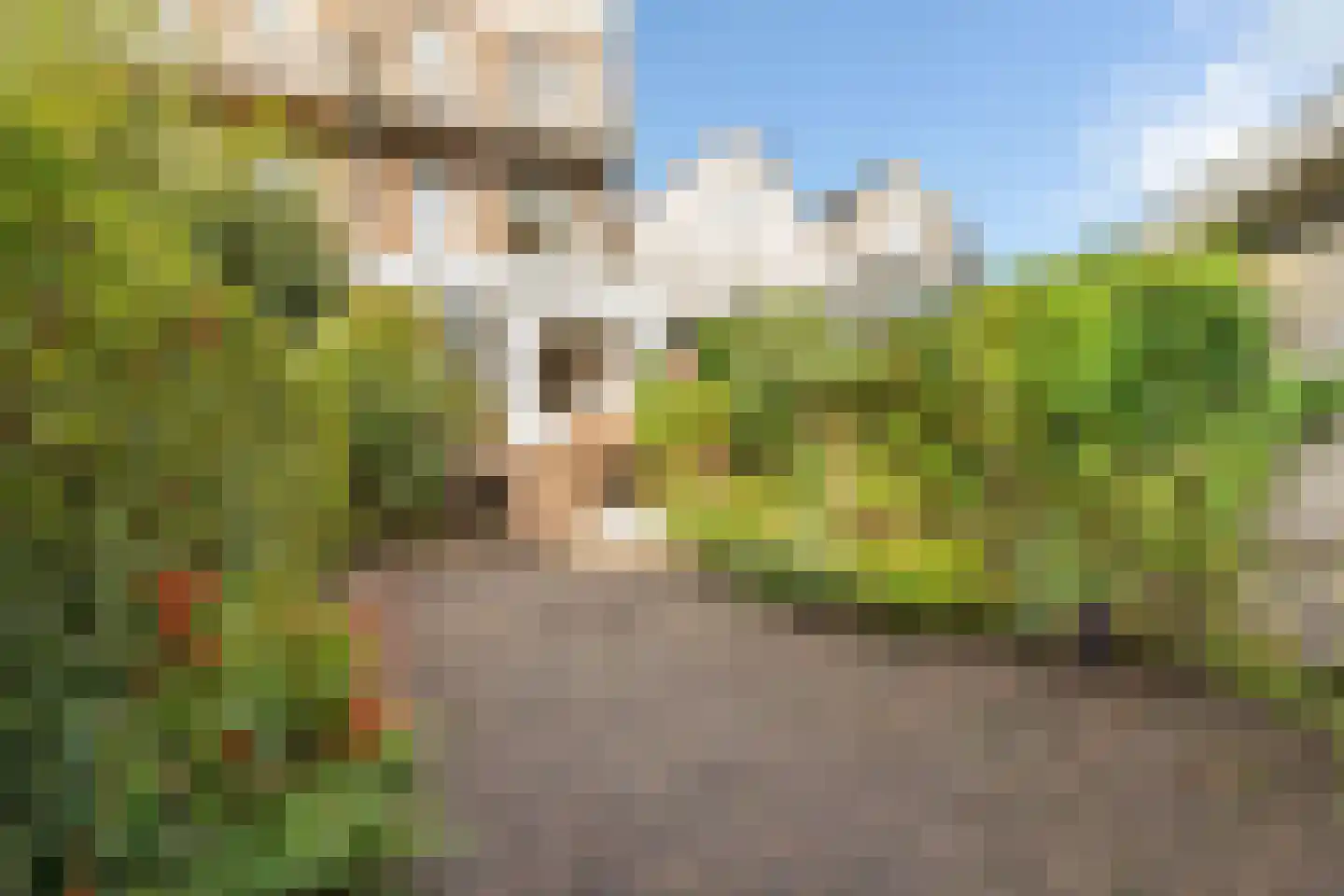 Herensingel 15 Weesp thumbnail 5