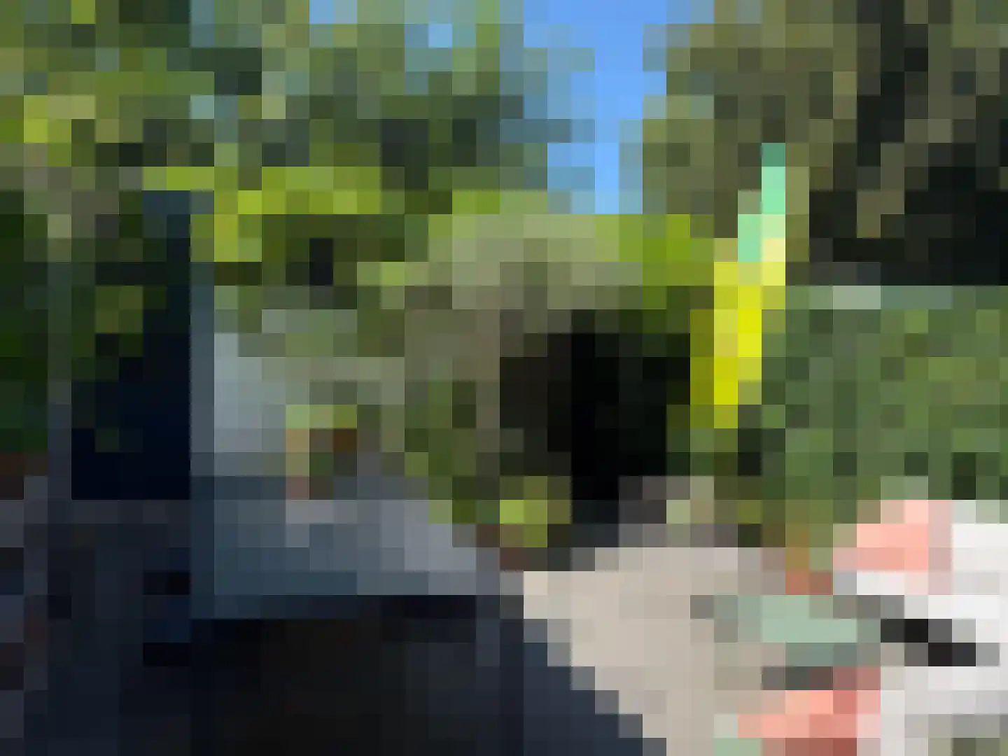 Herensingel 180 Weesp thumbnail 16
