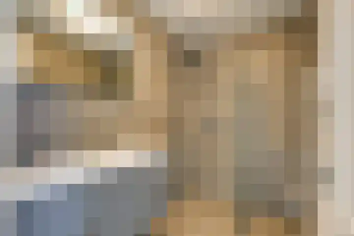 Herensingel 2 B 1 Leiden thumbnail 20