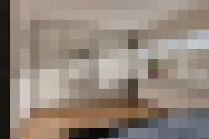 Herensingel 202 Weesp thumbnail 20