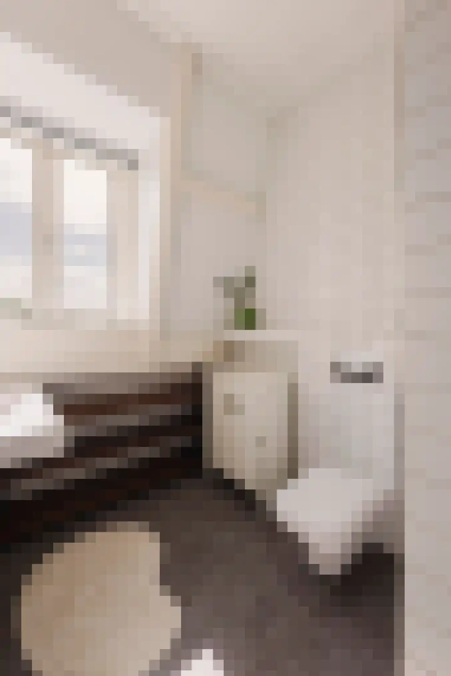 Herensingel 25 Weesp thumbnail 30
