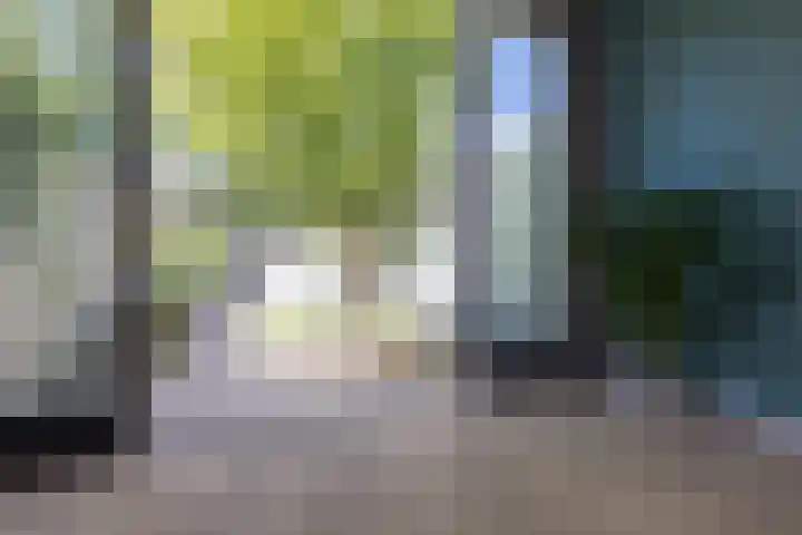 Herensingel 308 Weesp thumbnail 21