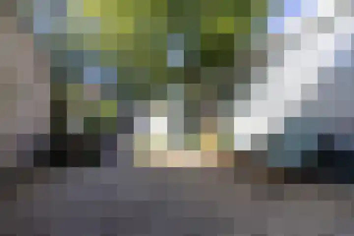 Herensingel 308 Weesp thumbnail 41