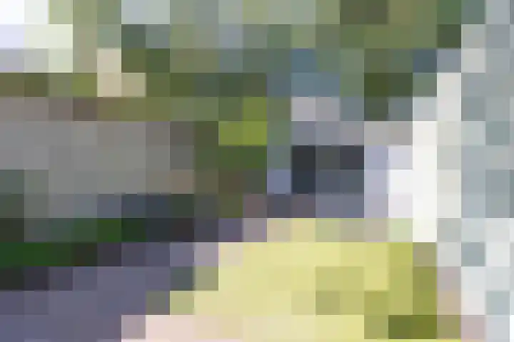 Herensingel 308 Weesp thumbnail 43