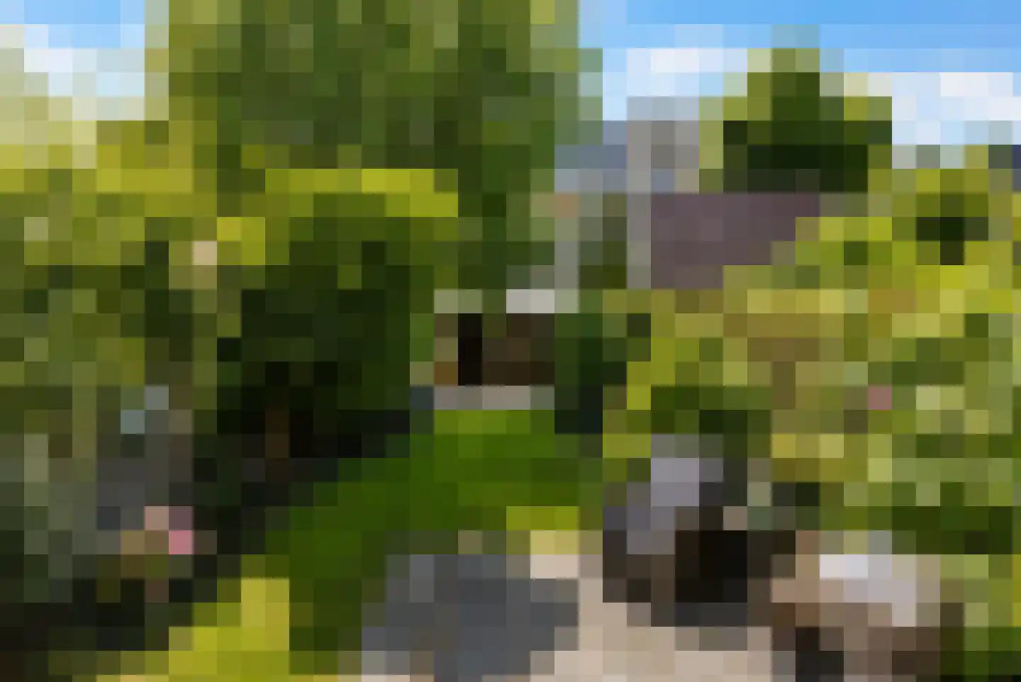 Herensingel 31 Weesp thumbnail 25
