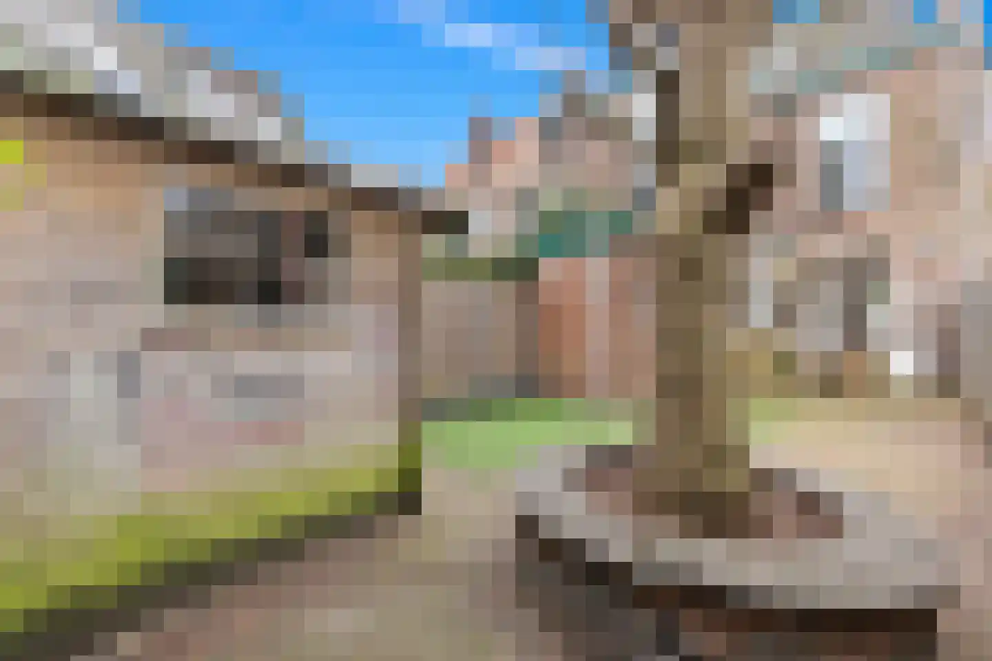 Herensingel 49 Leiden thumbnail 17