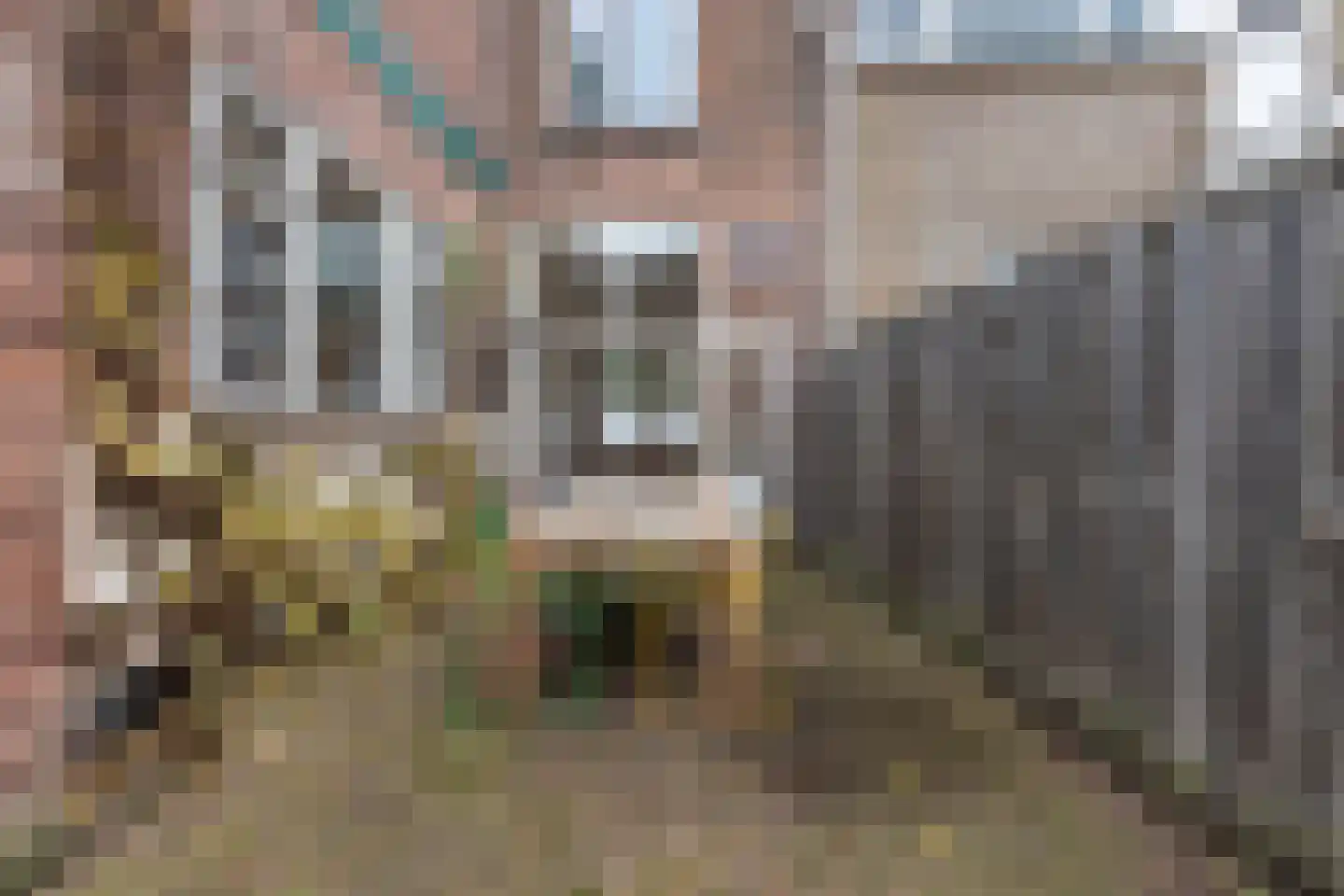 Herensingel 49 Leiden thumbnail 20