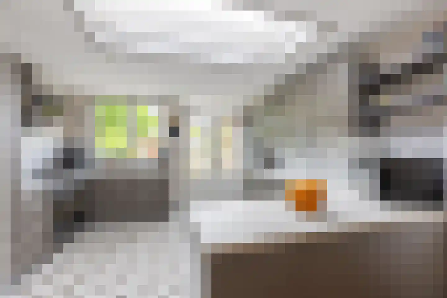 Herensingel 51 Weesp thumbnail 16