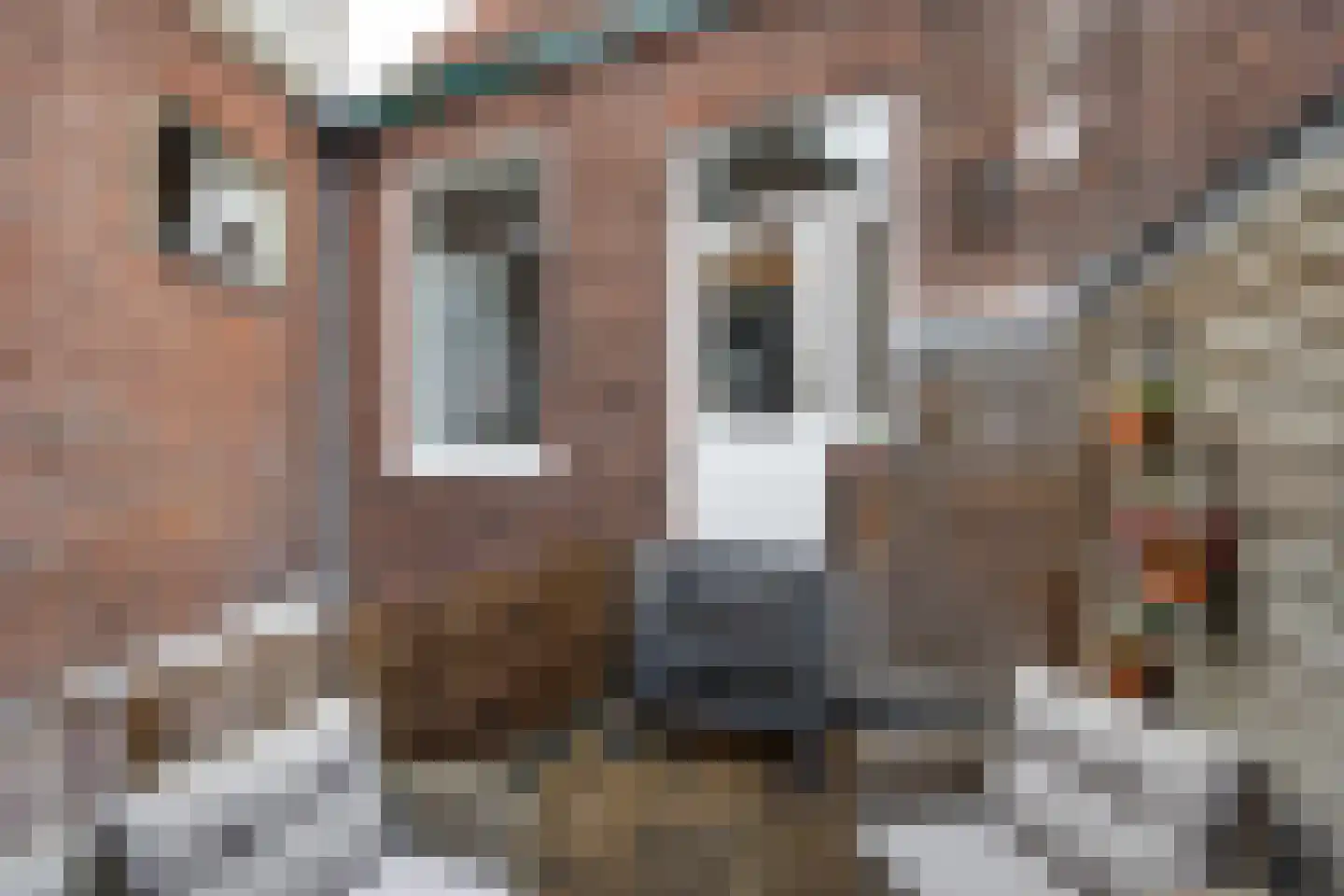 Herensingel 52 A Leiden thumbnail 21