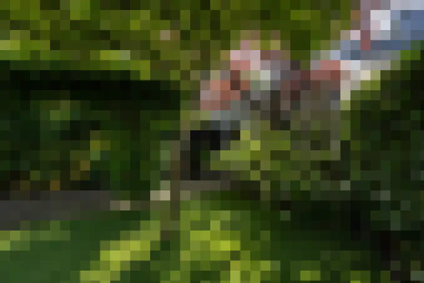 Herensingel 61 Weesp thumbnail 20