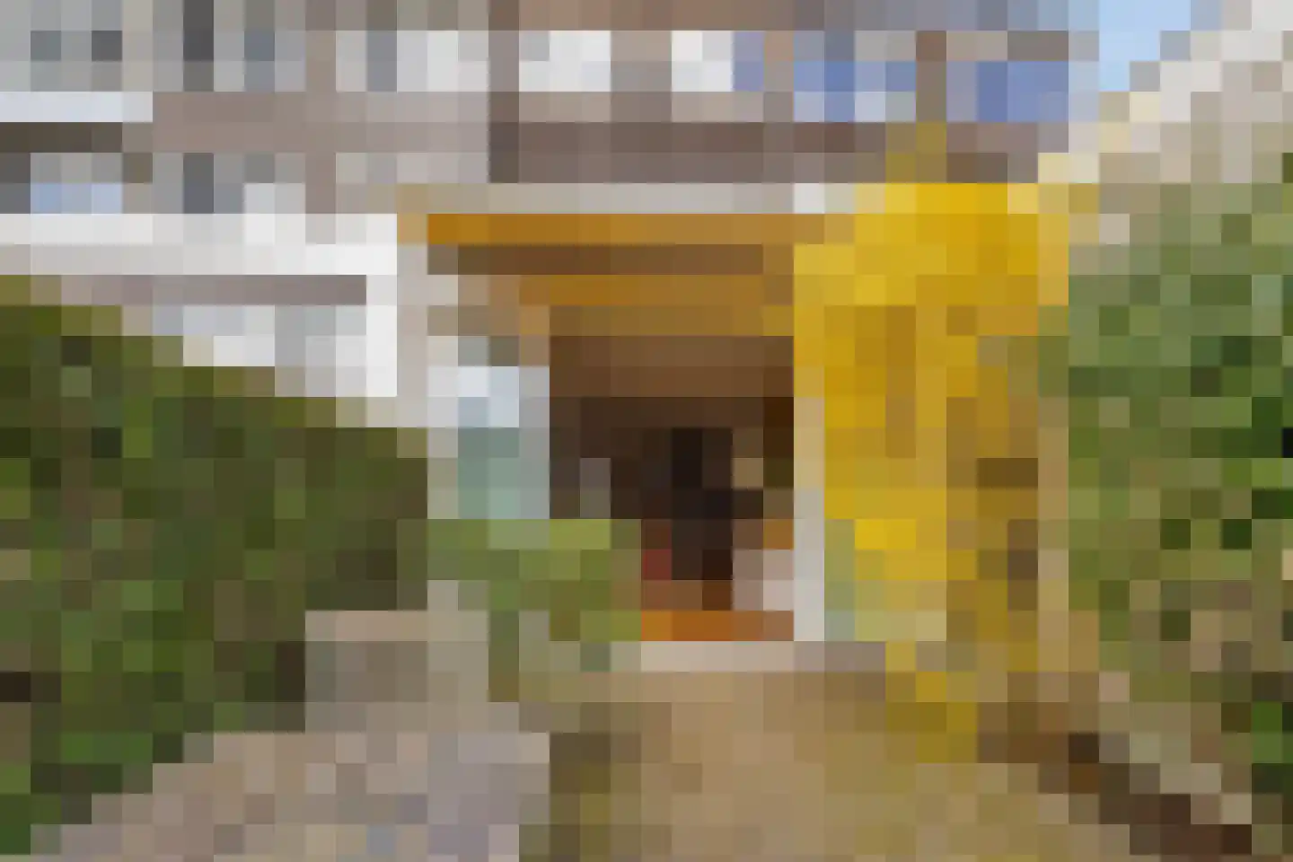 Herensingel 93 Weesp thumbnail 12