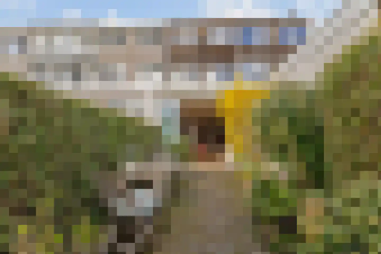 Herensingel 93 Weesp thumbnail 14